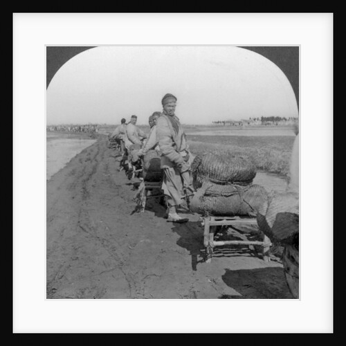 Conveying salt to the interior by wheelbarrow train by Keystone View Company