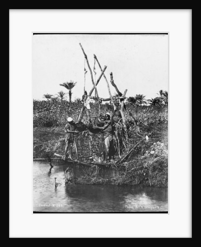 A shaduf on the Nile, Egypt by G Lekegian