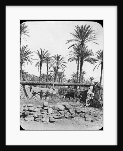 Water wheel, Egypt by Newton & Co