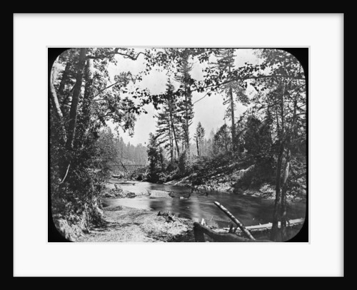 Backwoods, Western USA by Anonymous