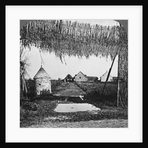 'Ingenious camouflage', World War I by Realistic Travels Publishers