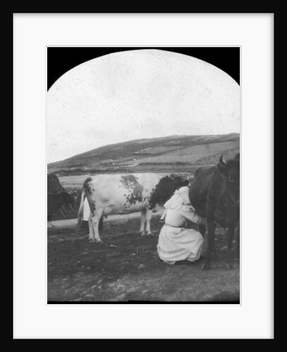 Milking by Anonymous