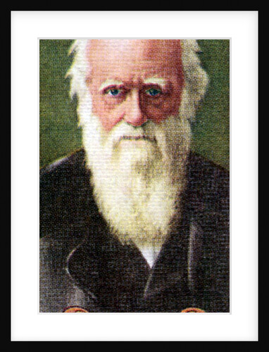 Charles Darwin, taken from a series of cigarette cards by Anonymous