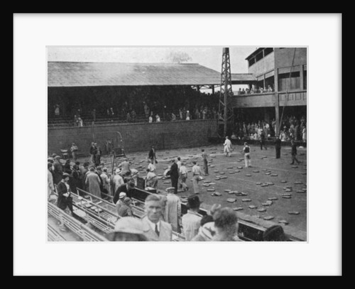 The cushion bombardment of No 1 Court, Davis Cup, Wimbledon by Planet News Ltd
