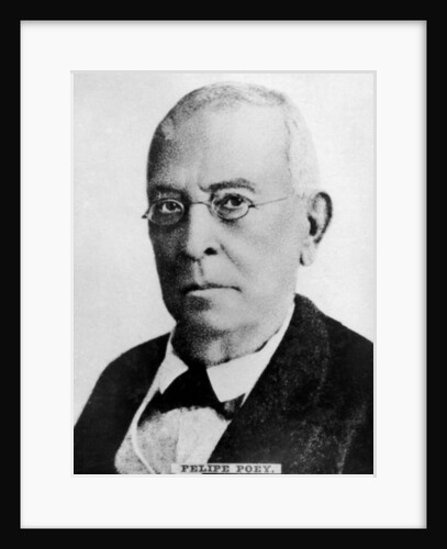 Felipe Poey by Anonymous