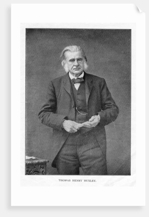 Thomas Henry Huxley, British biologist by Anonymous
