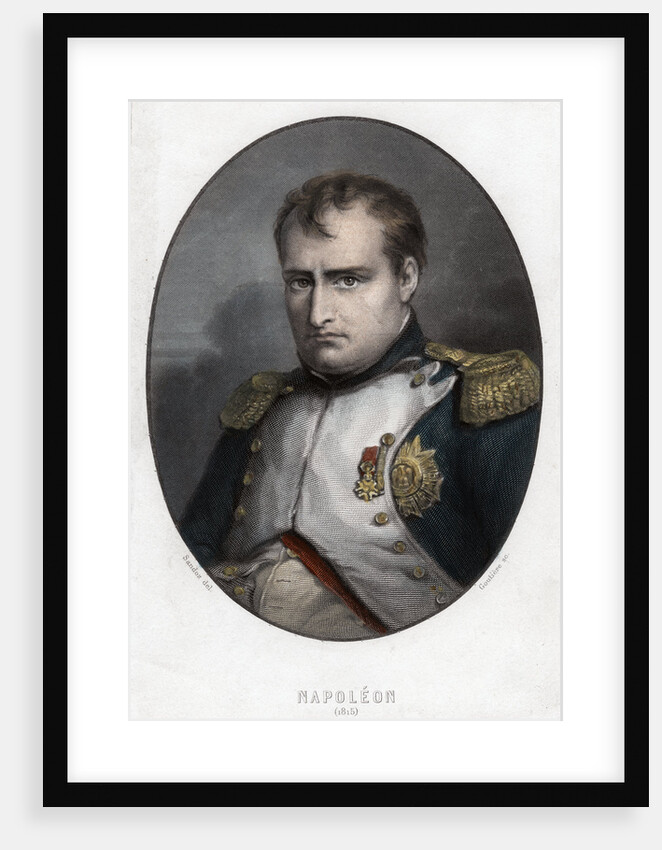 Napoleon Bonaparte by Goutiere
