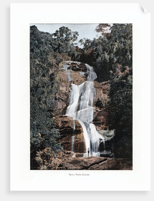 Waterfall in Tijuca, Rio de Janeiro, Brazil by Anonymous