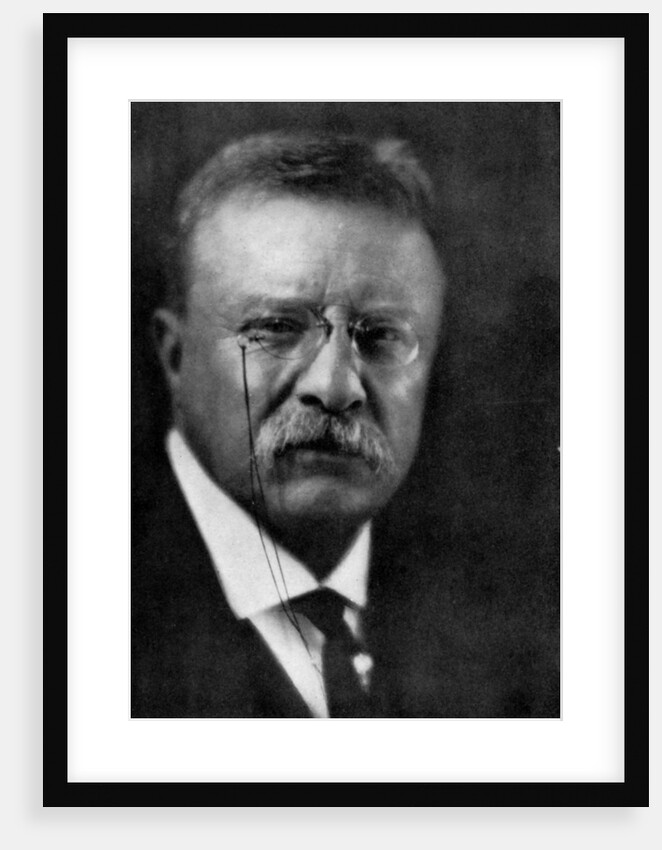 Theodore Roosevelt, 26th President of the United States by Anonymous