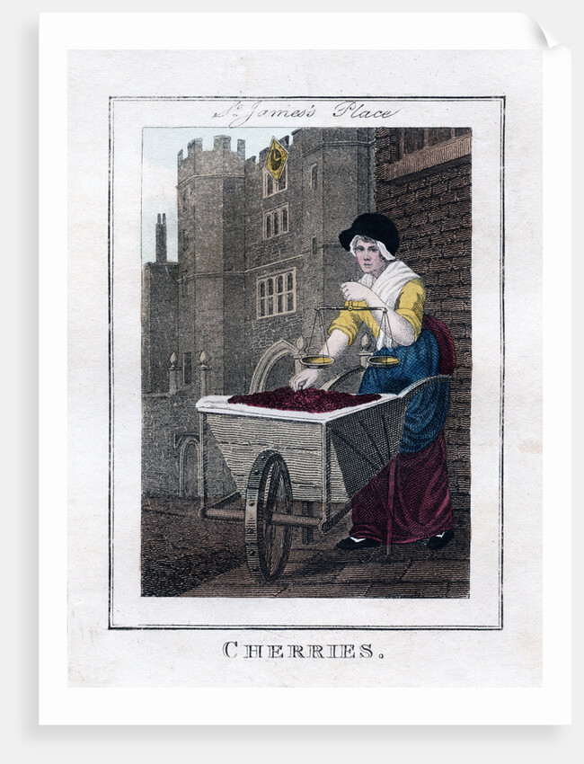 Cherries by Anonymous