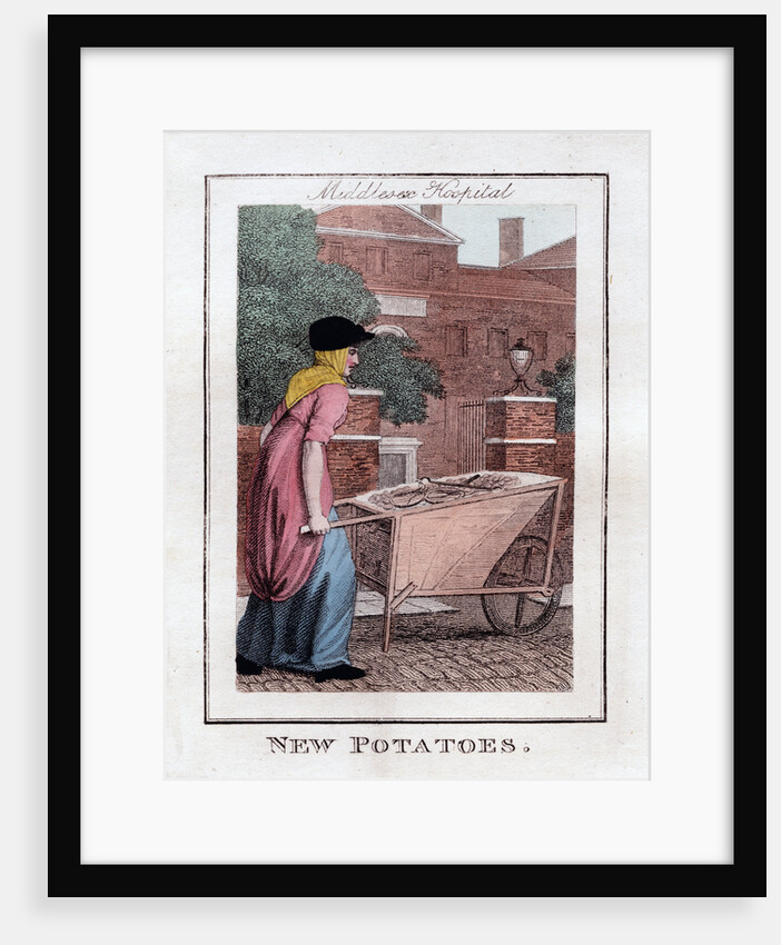 New Potatoes by Anonymous