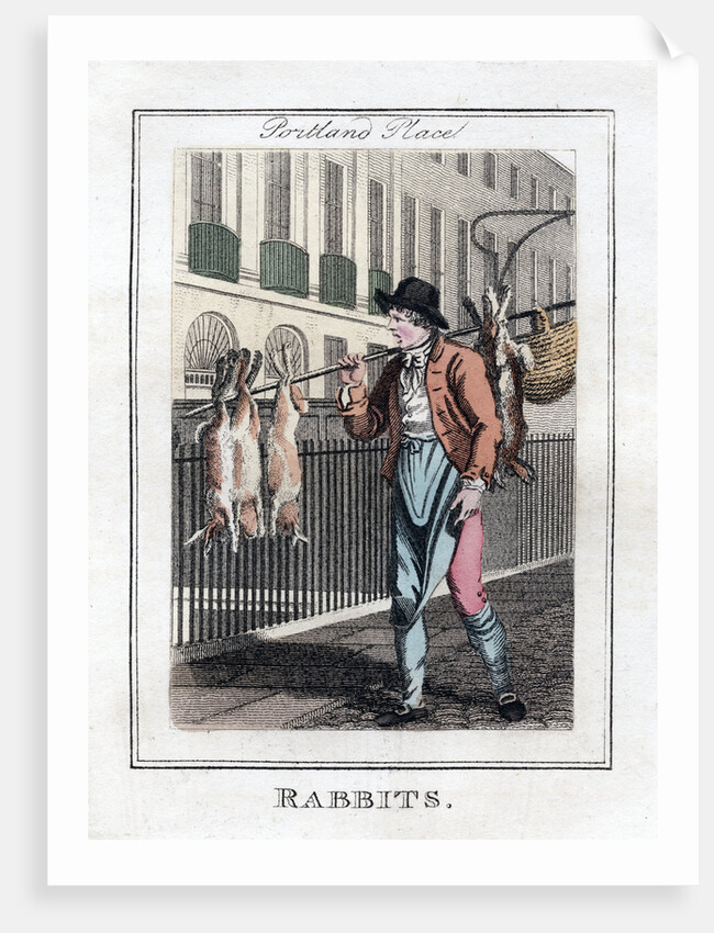 Rabbits by Anonymous