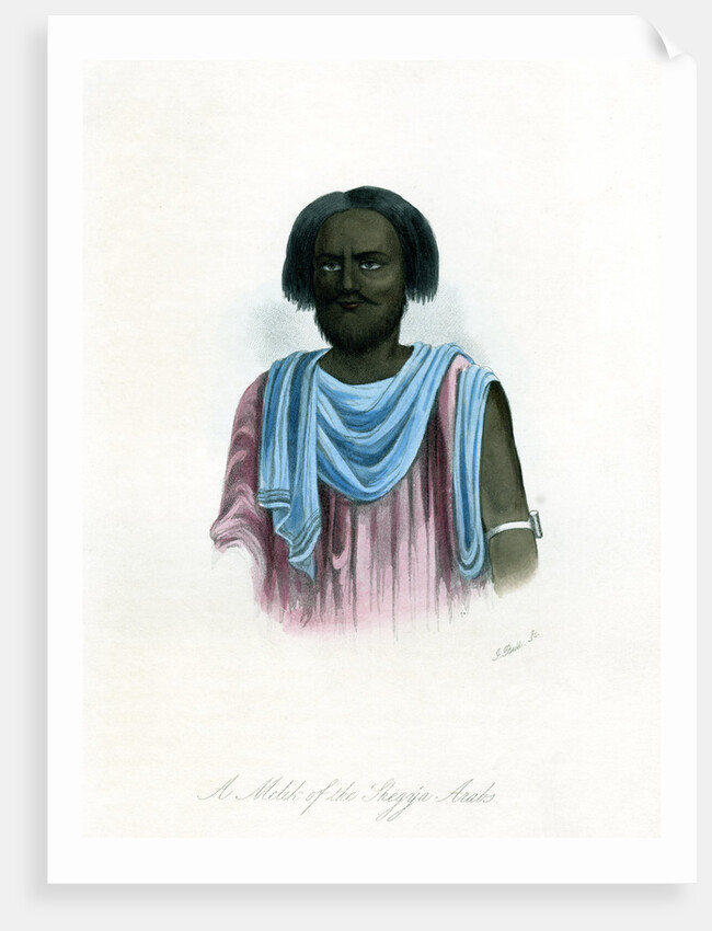 A Melik of the Shegyia Arabs by J Bull