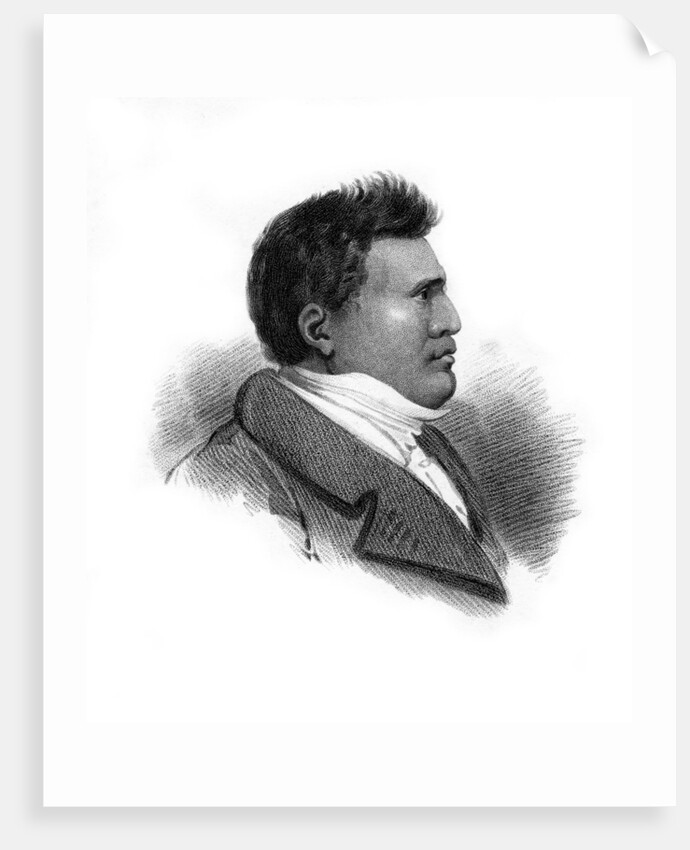 Rhio Rhio, King of the Sandwich Islands by Anonymous