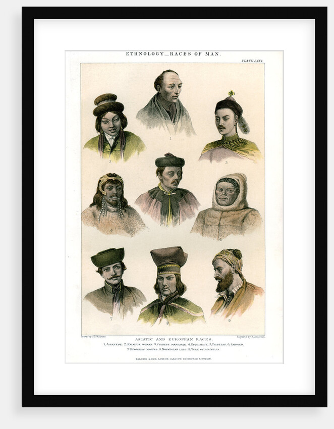 Ethnology, Races of Man by R Anderson