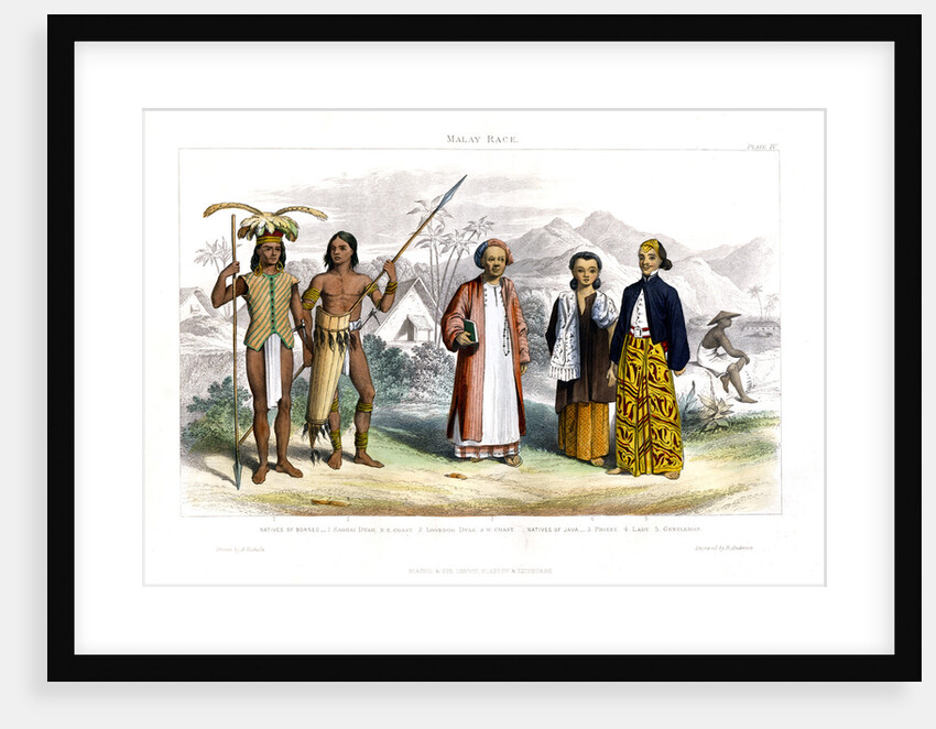 Malay Race by R Anderson