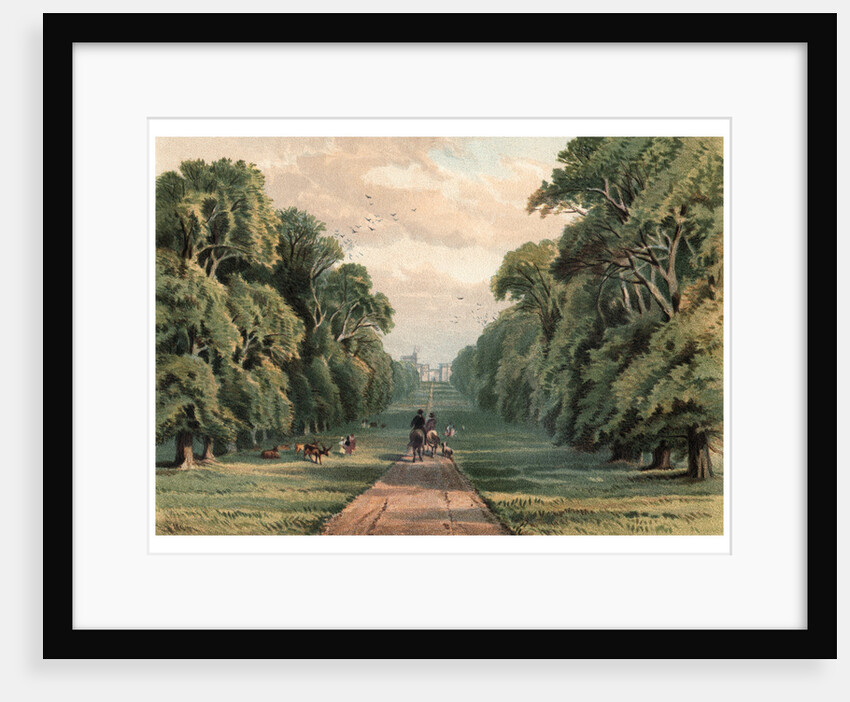 Long Walk, Windsor Park by Anonymous