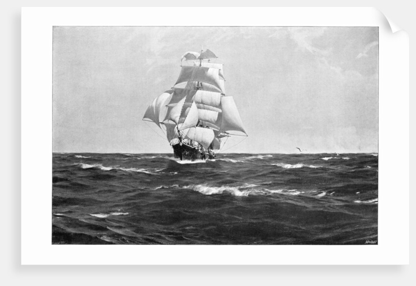 Homeward Bound by Thomas J Somerscales