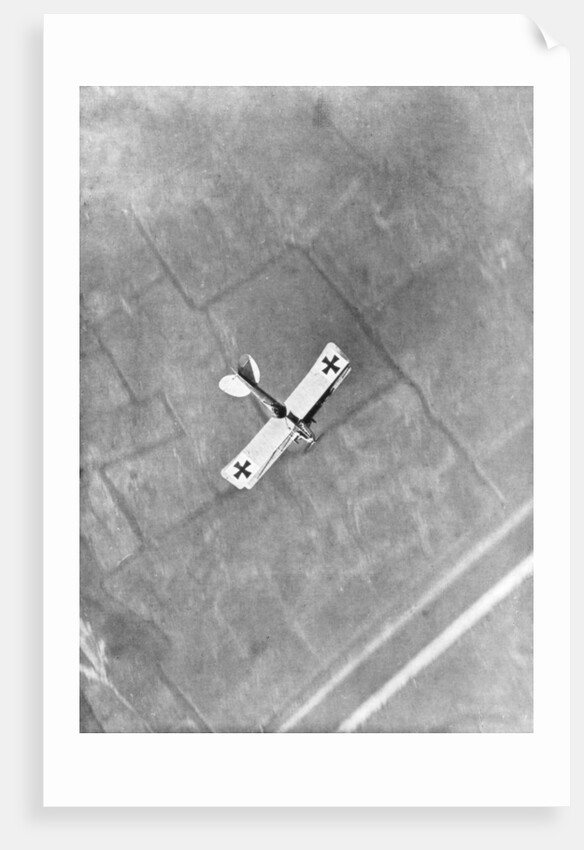 A German Aviatik aircraft photographed in flight by a Belgian aviator, Ypres, Belgium by Anonymous