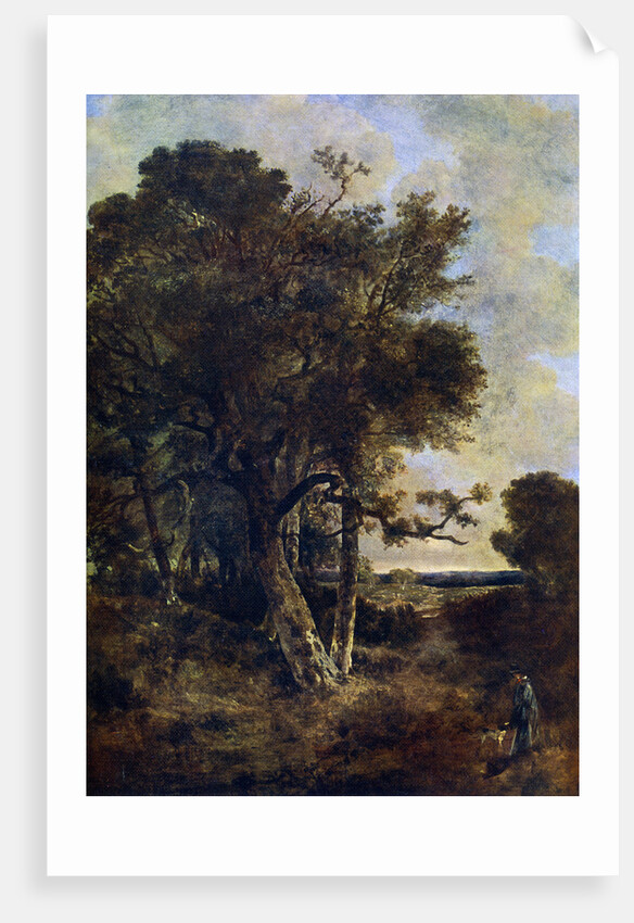 On the Skirts of the Forest by John Crome