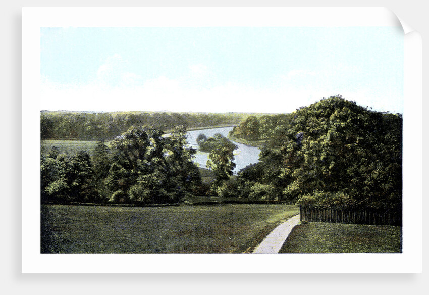 View of the Thames From Richmond Hill, London by Anonymous