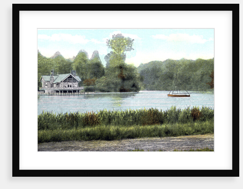 Virginia Water, Surrey by Anonymous