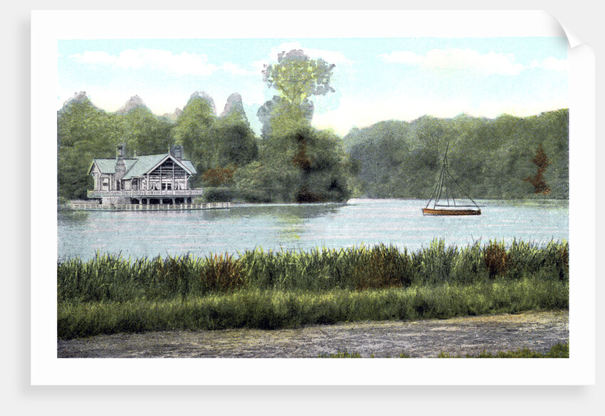 Virginia Water, Surrey by Anonymous