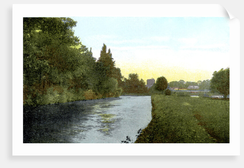 The Thames at Cookham, Berkshire by Anonymous