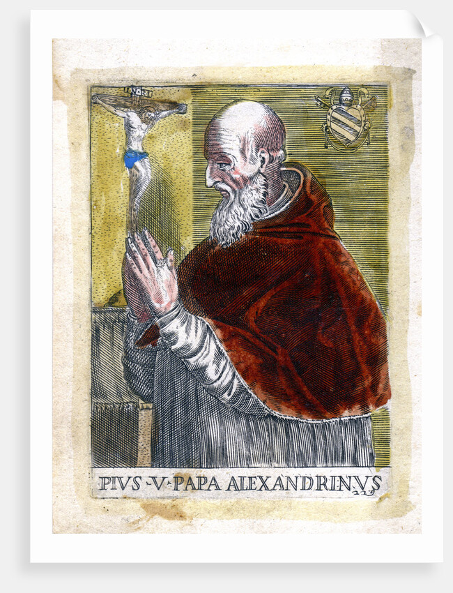 Pope St Pius V by Anonymous