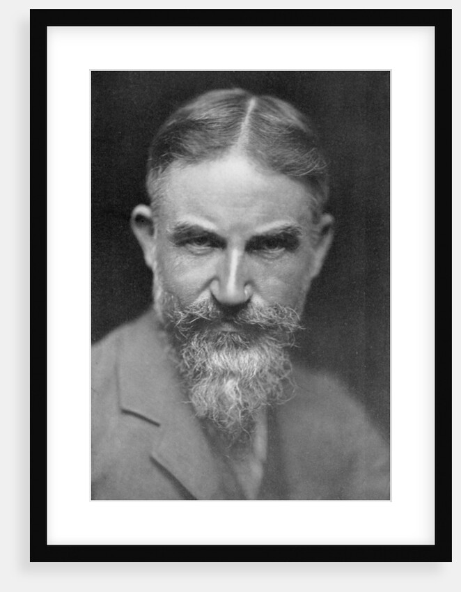 George Bernard Shaw, Anglo-Irish playwright by Lizzie Caswall Smith