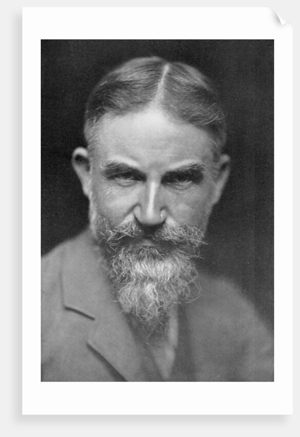 George Bernard Shaw, Anglo-Irish playwright by Lizzie Caswall Smith