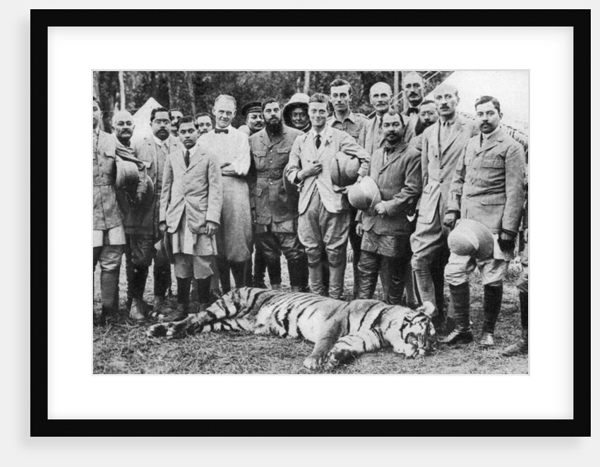 The Prince of Wales tiger shooting in Nepal, the Indian Tour by Anonymous
