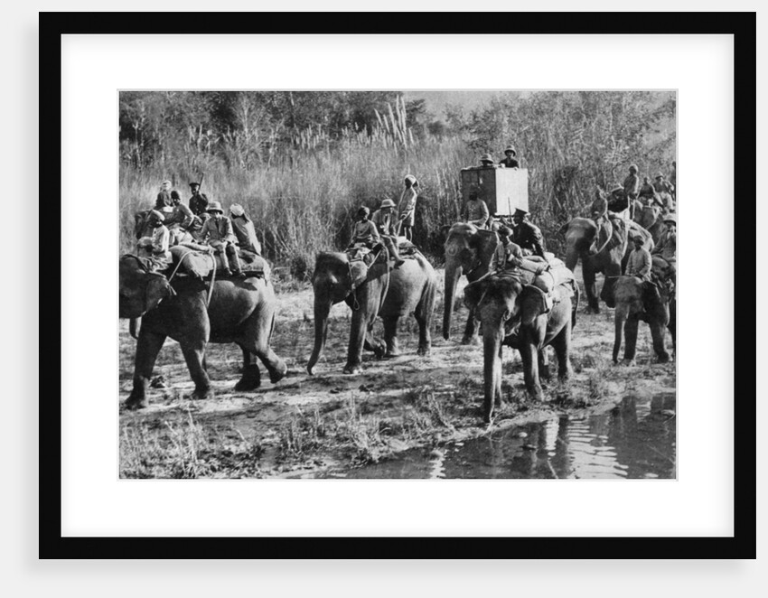 The Prince of Wales tiger shooting in India by Anonymous