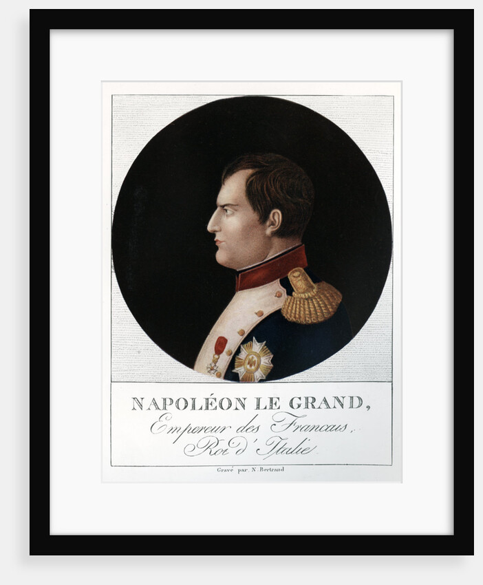 Emperor Napoleon Bonaparte by N Bertrand