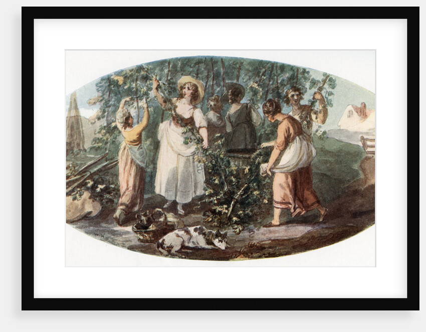 Hop Picking by William Hamilton