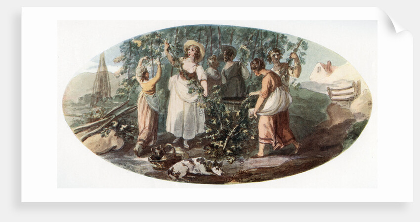 Hop Picking by William Hamilton