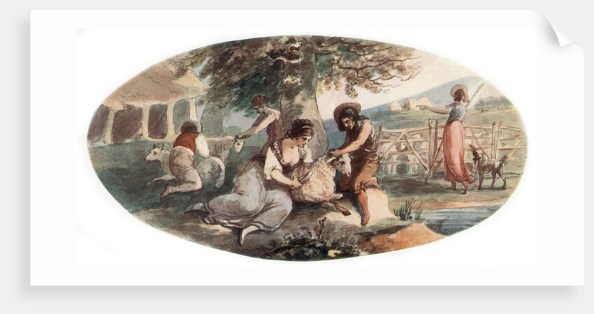 Sheep Shearing by William Hamilton