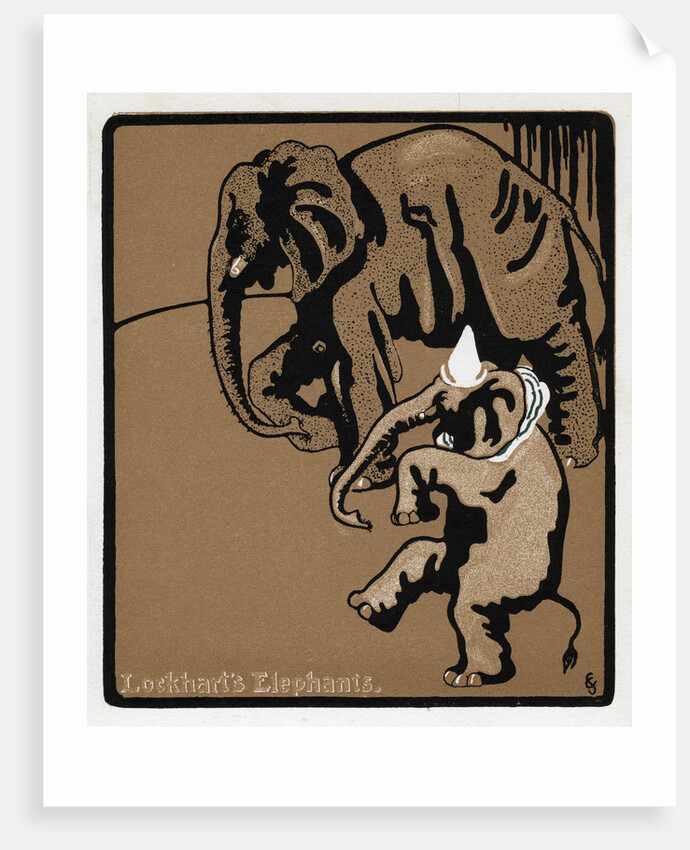 Lockhart's elephants by Anonymous