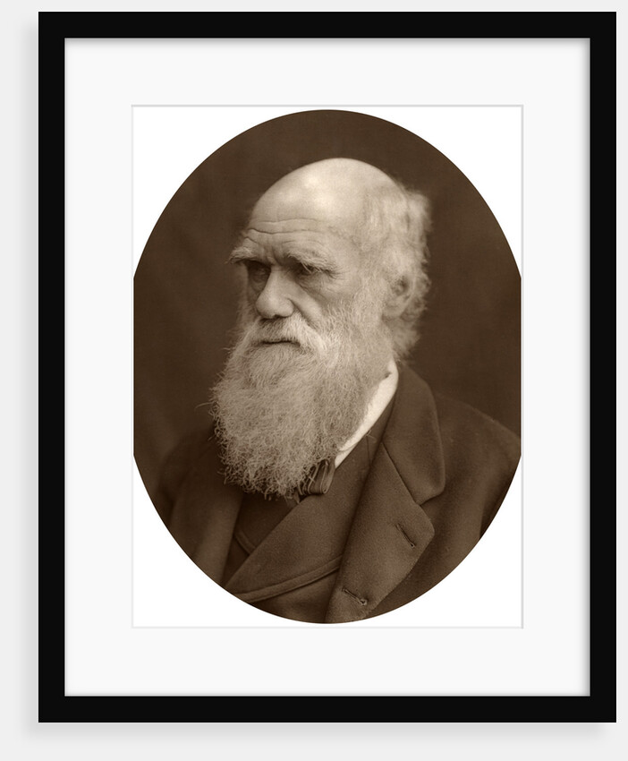 Charles Darwin by Lock & Whitfield