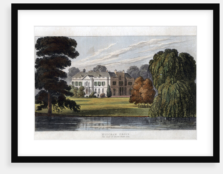 Mitcham Grove, Surrey, the seat of Henry Hoare by Anonymous