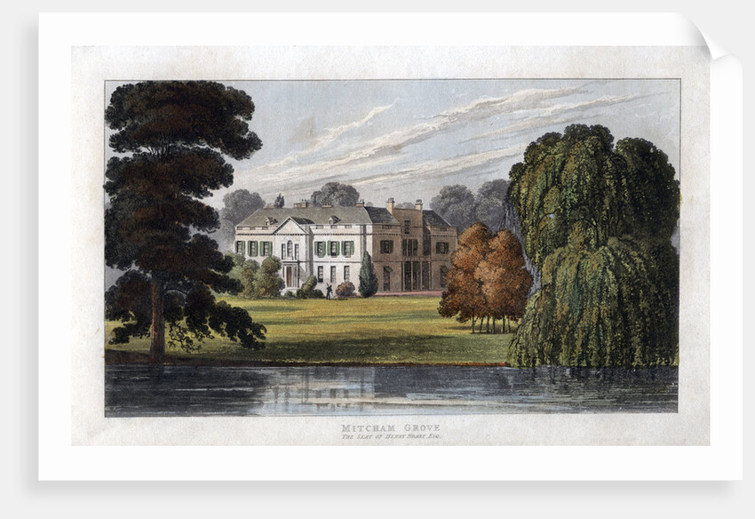 Mitcham Grove, Surrey, the seat of Henry Hoare by Anonymous