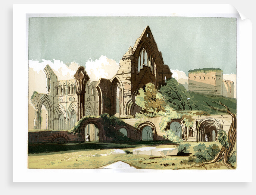 Dryburgh Abbey by Anonymous