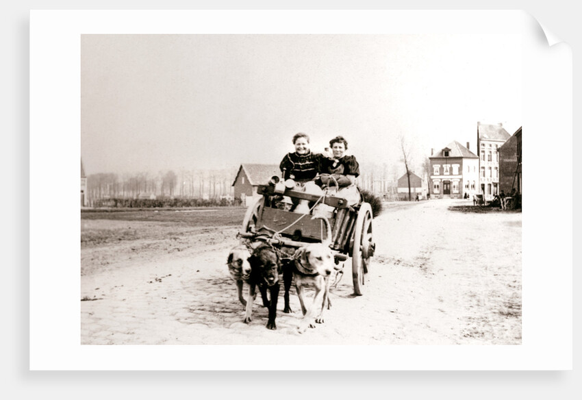 Dogs pulling women on a cart, Antwerp by James Batkin