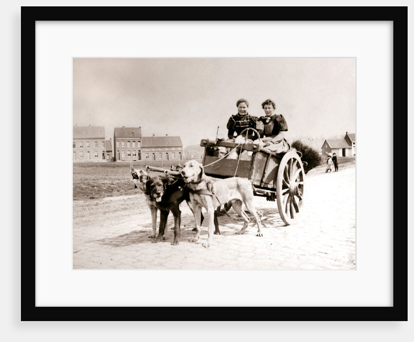 Dogs pulling women on a cart, Antwerp by James Batkin