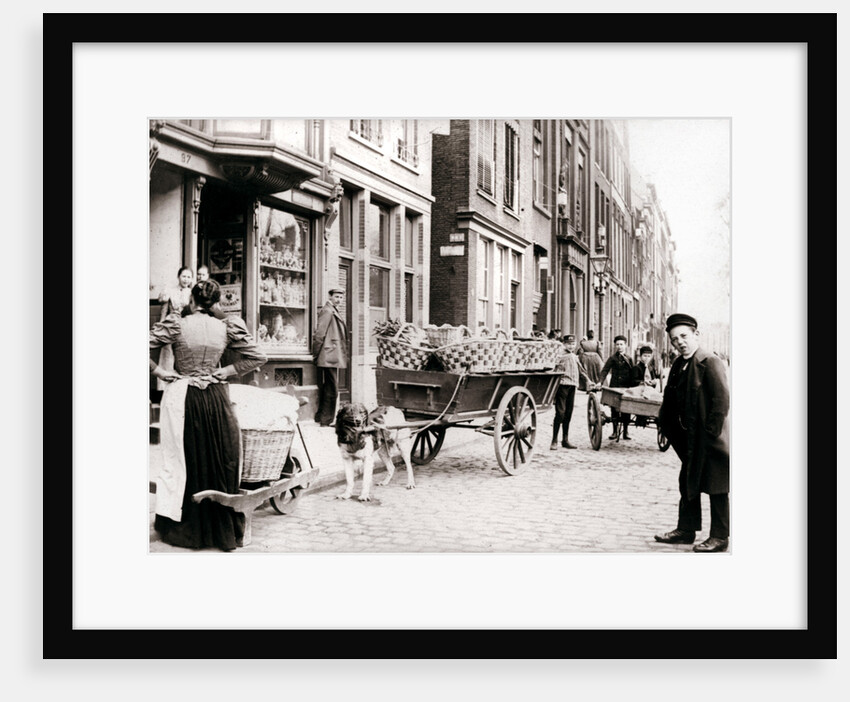 Dogcart, Antwerp by James Batkin