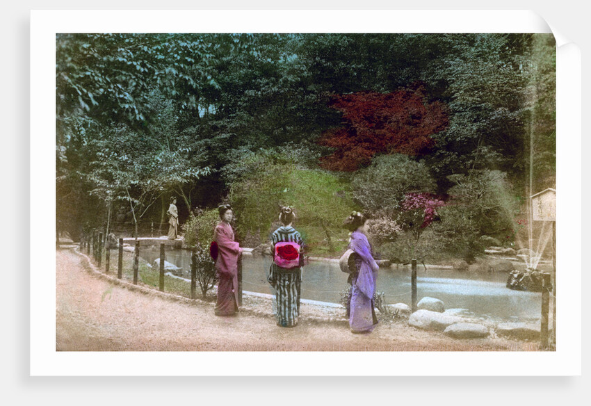 Garden, Japan by Anonymous