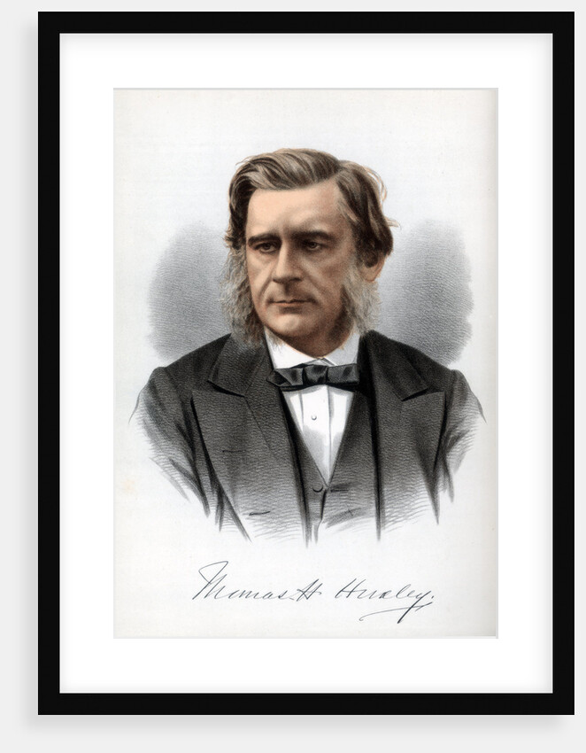 Thomas Henry Huxley, English biologist by Cassell