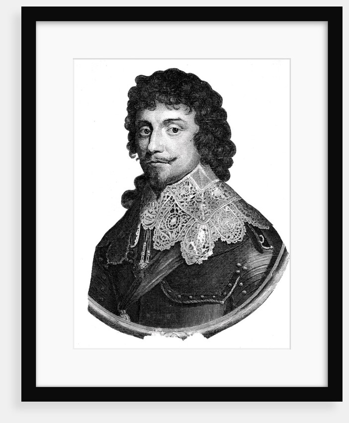 Frederick V, King of Bohemia from 1619-1620 by Anonymous