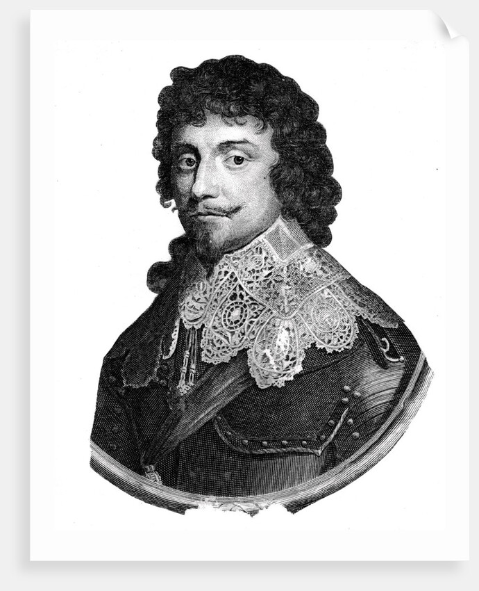 Frederick V, King of Bohemia from 1619-1620 by Anonymous