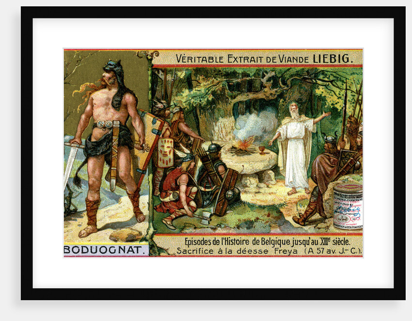 Episodes in the history of Belgium up until the 13th century: Boduognatus by Anonymous